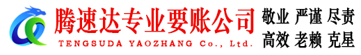 龙泉清债公司